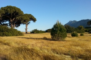 Afrika_2-4