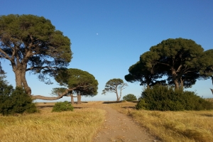 Afrika_4