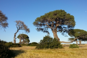 Afrika_5