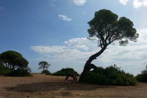 Afrika_6