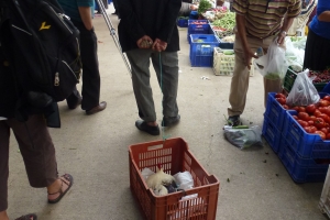 Bazar_Kumluca_5