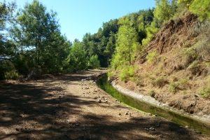 Kanalweg_11