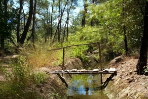 Kanalweg_3