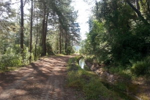 Kanalweg_6