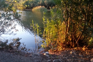Olympos