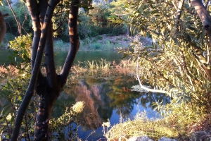 Olympos