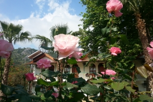 2015-05-03 10.26.55